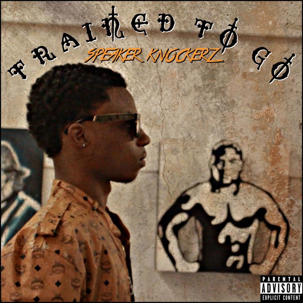 Speaker Knockerz Money